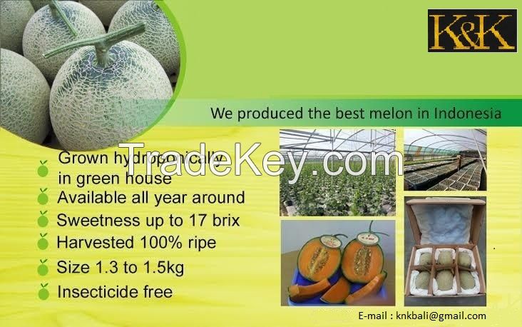 Cantaloupe Melon