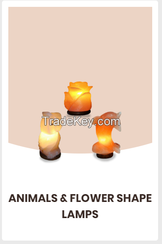 Animal and Flower shape Salt Lamps