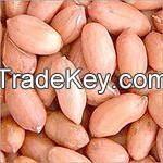 PEANUT KERNELS ,ROASTED PEANUTS ,PUMPKIN SEEDS,BIGGEST PEANUT & PUMPKIN SEEDS FACTORY,