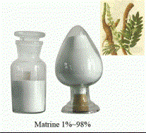 Natural Matrine (CAS No 519-02-8)