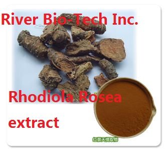 Natural Rhodiola Rosea extract 3% Rosavin