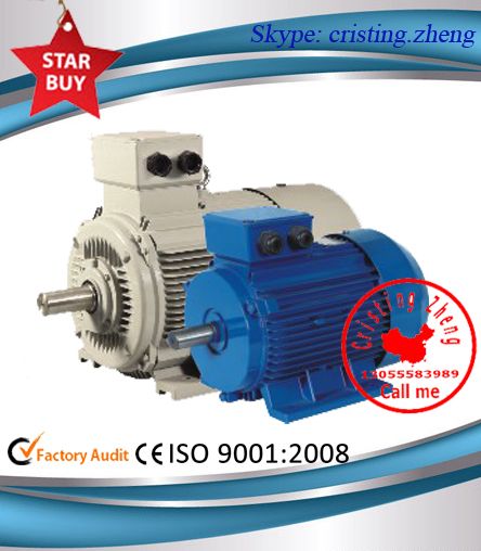 Y2 Series Three-phase Induction Motor