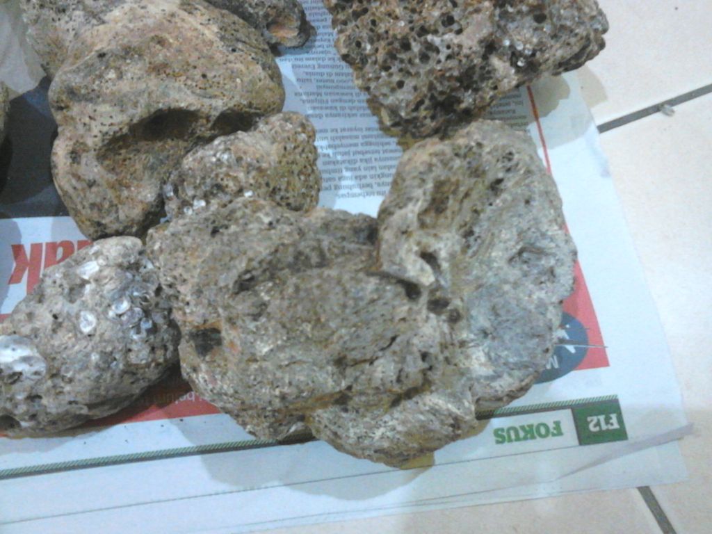 Ambergris,Anbar,whale vomit