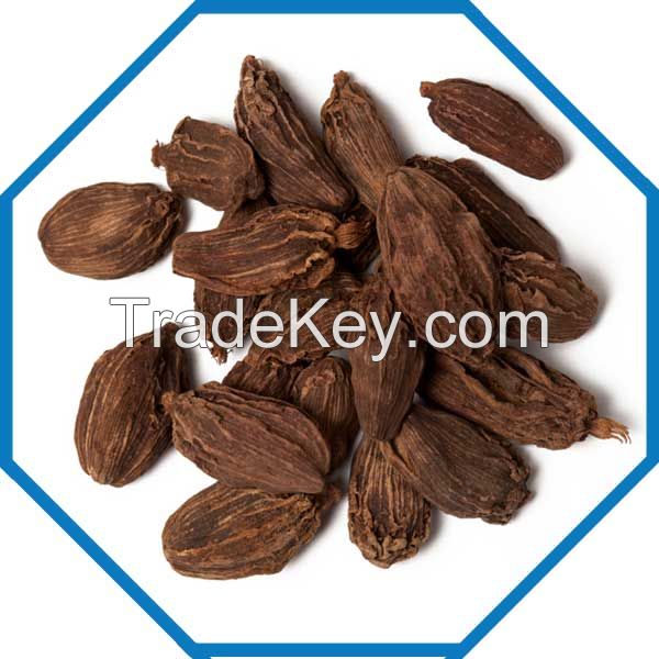 Big Cardamom - Amomum subulatum Roxb