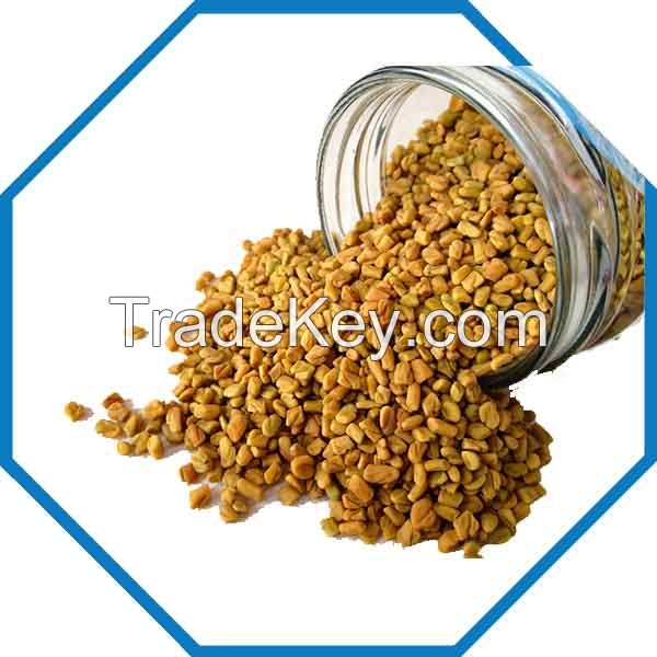 FENUGREEK - Trigonella foenum-graecum