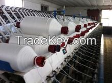 pure polyester ring spun yarn for India market