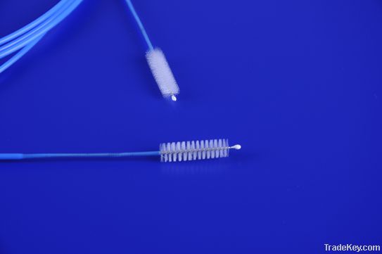 Cleaning brush