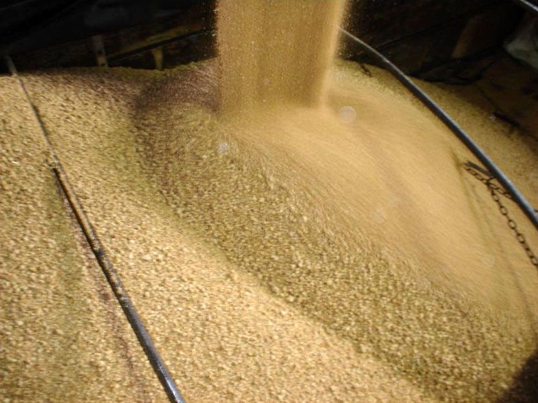 Quality soybean meal
