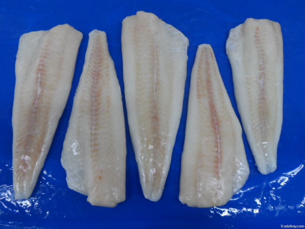 Alaska Pollock Fillet