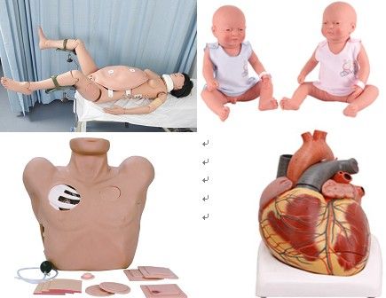 Medical Education & Training Model