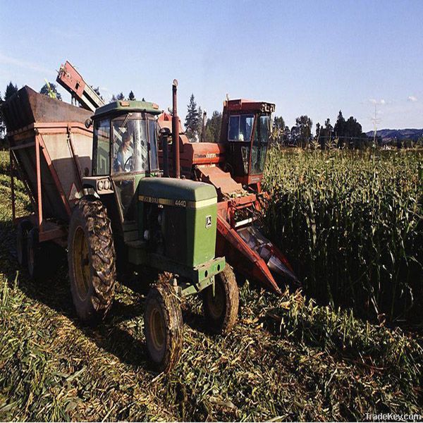 Harvester Rubber Track