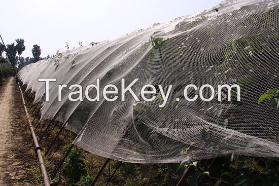 Crystal net, Agricultural corp cover, hail protection net, anti hail net