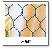 Hexagonal Wire Mesh