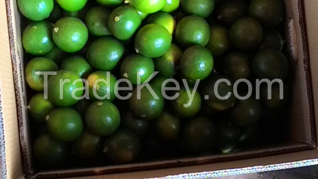 Vietnam Seedless Lemons