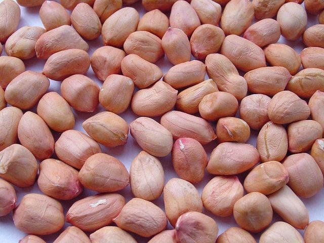 2013 New Crop Groundnut Peanuts Kernels