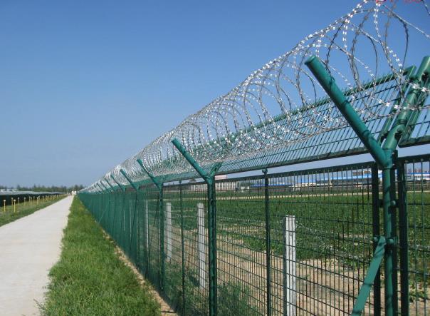 razor barbed wire fence