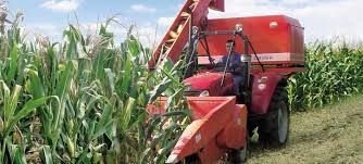 corn harvester