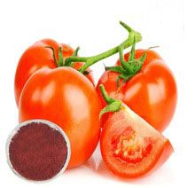 Solubility of Lycopene Powder