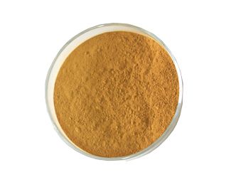 Tribulus Terrestris extract