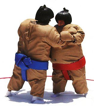 Inflatable Wrestling Sumo with mat