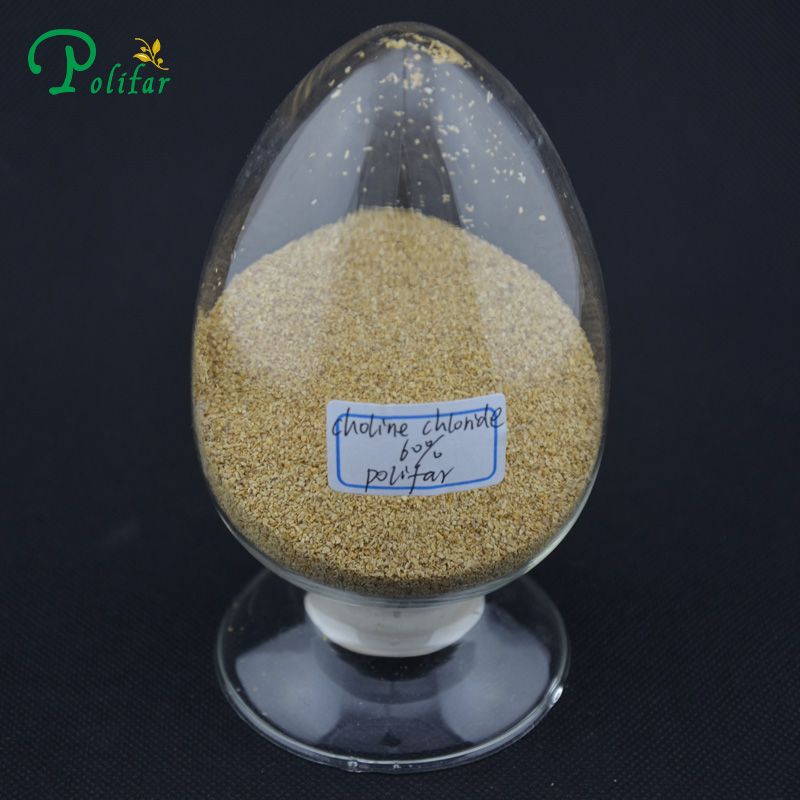 choline chloride 60%min feed grade (feed additives)