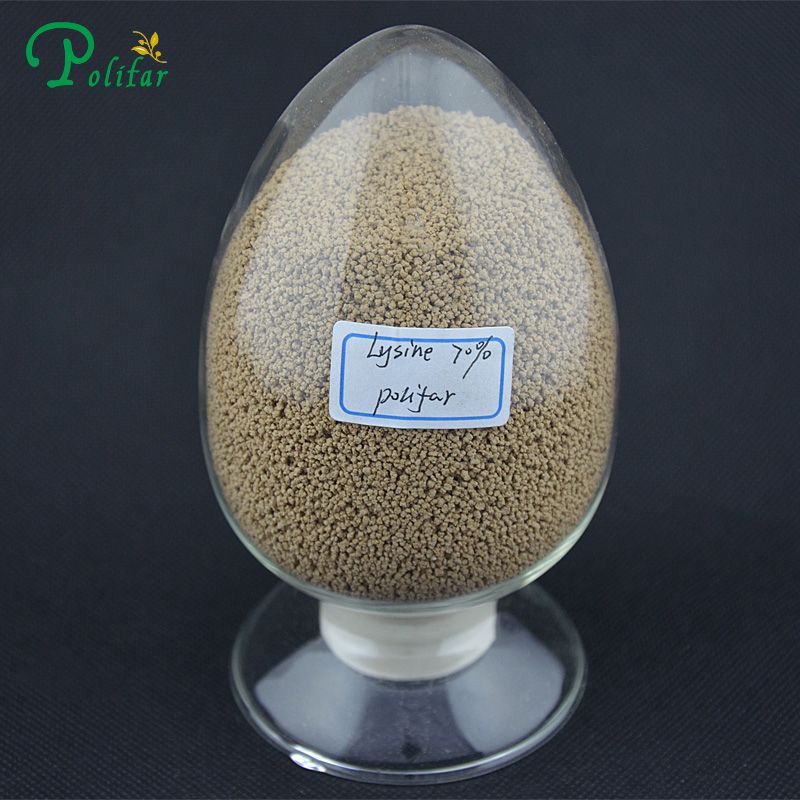 Lysine HCL 98.5% Feed Grade 