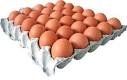 Fresh Chicken Brown & White Table Eggs 