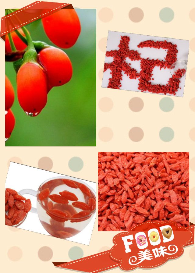 Goji, wolfberry, barbary matrimony vine