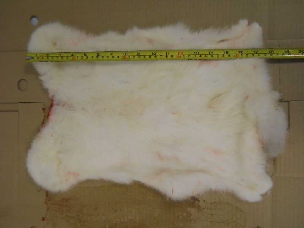 Frozen rabbit fur skins