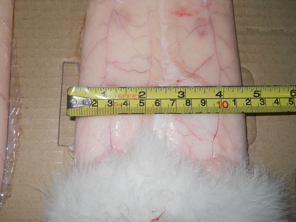 Raw rabbit fur