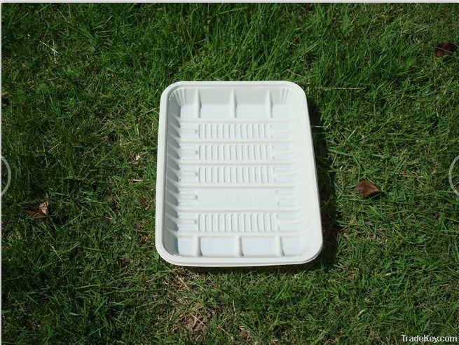 disposable plastic tray&amp;plate&amp;food tray&amp;eco friendly