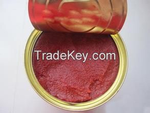 Top Quality Organic Tomato Sauce, Tomato Paste, Tomato Ketchup