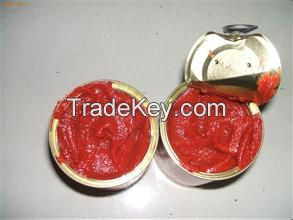 Canned Tomato Paste with New Crop