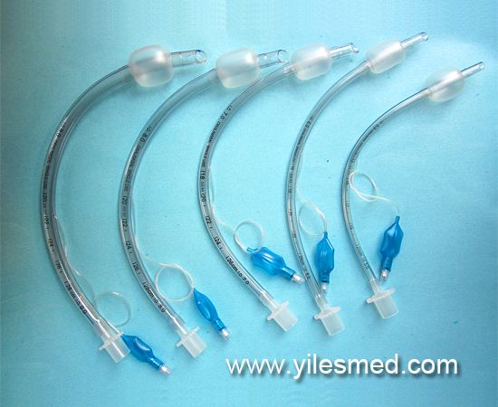 endotracheal tube
