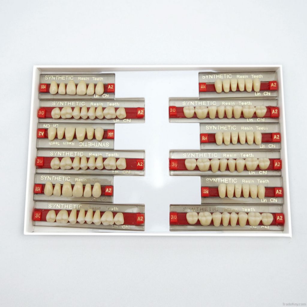 SYNTHETIC RESIN TEETH