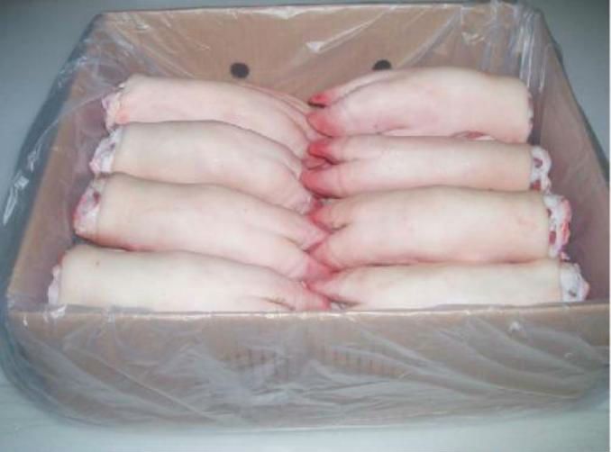 Quality frozen pork feets