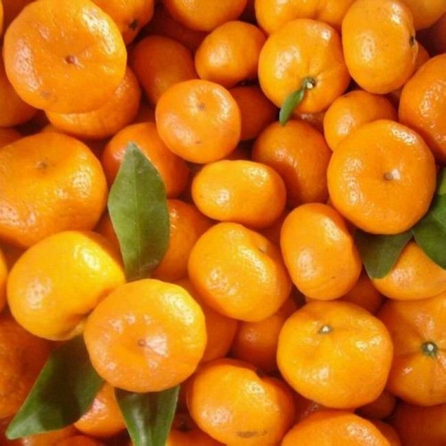 Organic honey baby mandarin oranges