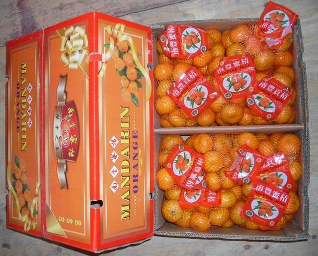 Fresh china orange and mandarine