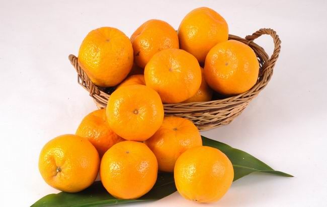 Agriculture sugar nanfeng mandarin orange on sale 