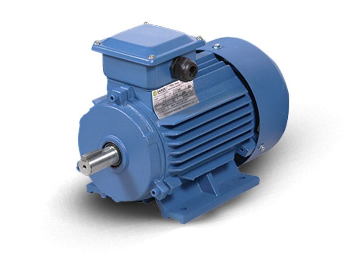 Y2 Series Motor