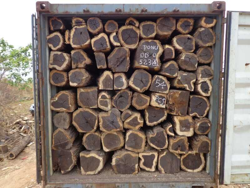 African BlackWood