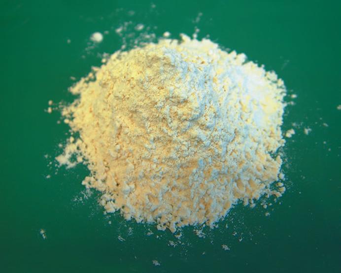 Isolated Soy Protein (ISP)