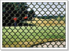 Chain link fence