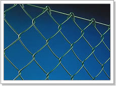 Chain link fence