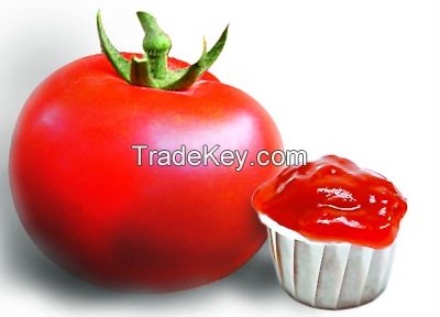 Irresistible Recipe for Tomato Ketchup with Fresh Tomatoes: A Homemade Delight