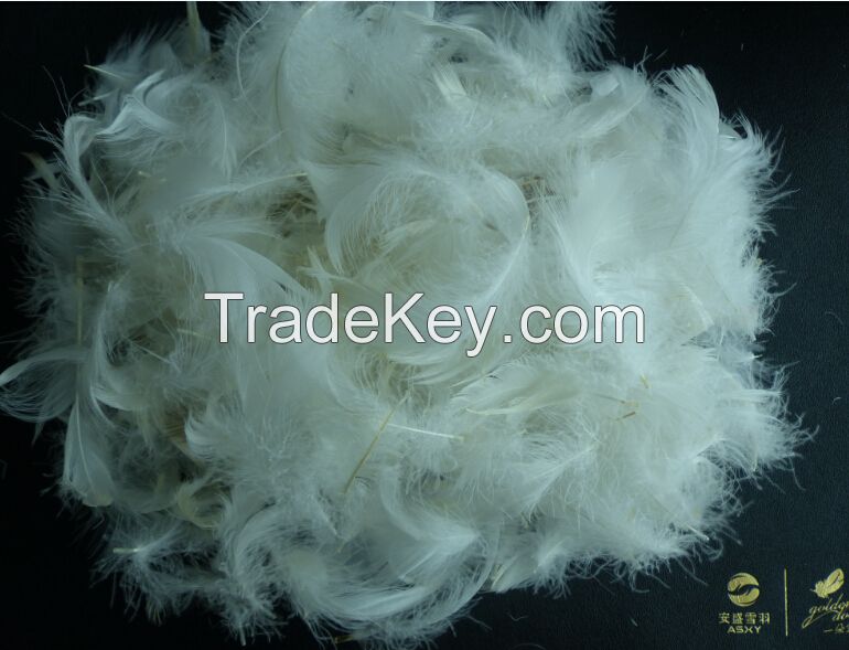 Hot SellingWashed White/Grey Duck Feather for Filling Sofa, Cushion, Bedding Products