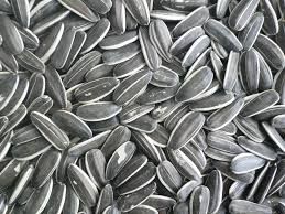 sunflower seeds kernels