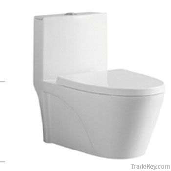 Washdown one-piece toilet