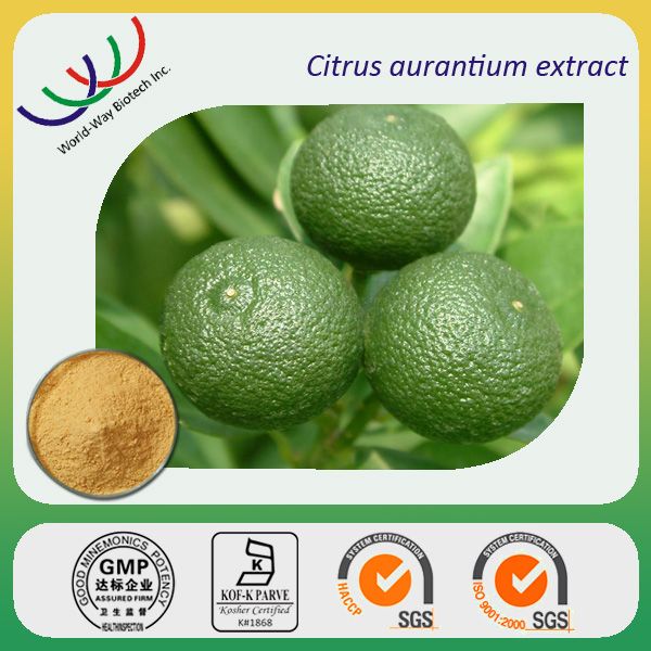 free sample 100% natural citrus aurantium extract 100% natural citrus aurantium extract synephrine supplier