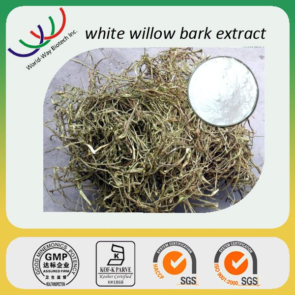 free sample GMP supplier organic natural salicin 15%~98% willow extract